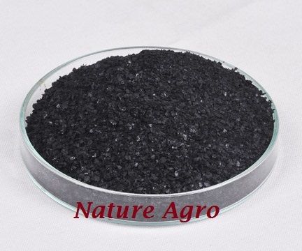 Seaweed Extract