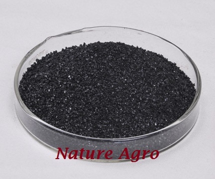 Humic Acid 98 By NATURE AGROCARE & RESEARCH PRIVATE LIMITED