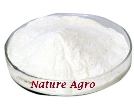 Amino Acid 80 By NATURE AGROCARE & RESEARCH PRIVATE LIMITED