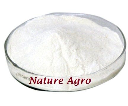 Amino Acid 80%