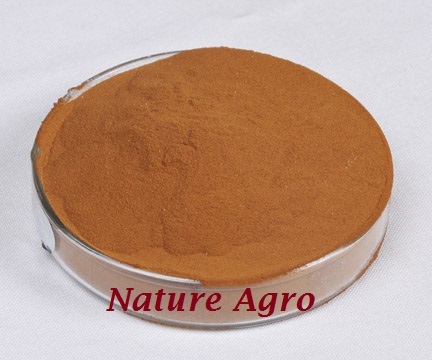 Fulvic Acid By NATURE AGROCARE & RESEARCH PRIVATE LIMITED