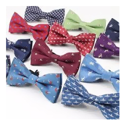 Polyester Bow Tie Polyester Bow Tie