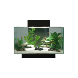Aquarium Products