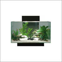 Glass Aquarium