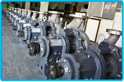 Black And Blue Vertical Inline Pumps