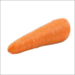 Fresh Carrot