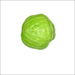 Fresh Cabbage