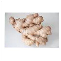 Fresh Ginger