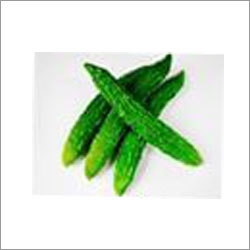 Fresh Bitter Gourd