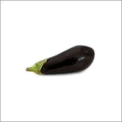Fresh Brinjal