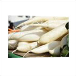 Fresh Radish