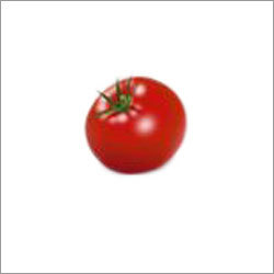 Fresh Tomato