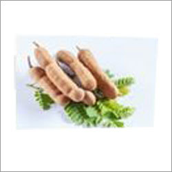 Fresh Tamarind