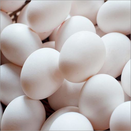 Chicken Eggs