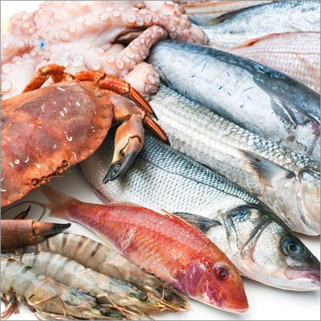 Frozen Seafood