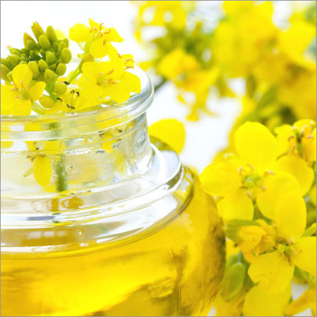 Refined Canola Oil
