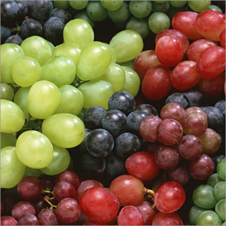 Fresh Grapes