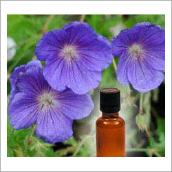 Geranium Oil - 100% Pure Floral Extract | Promotes Radiant Skin, Alleviates Anxiety, Reduces Inflammation, Natural Deodorant