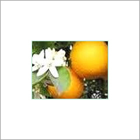 Orange Oil Age Group: All Age Group