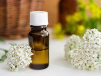 Yarrow Oil