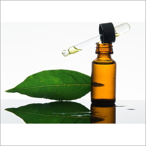 Bay Leaf Oil