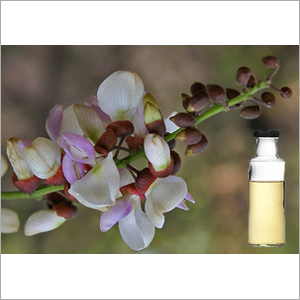 Karanj Oil - 100% Pure Cold-pressed Liquid | Antiseptic Properties Insecticidal Nutty Aroma Moisturizing Benefits