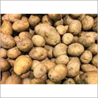 Fresh Potato