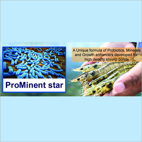 Water Probiotic for Shrimp Ponds