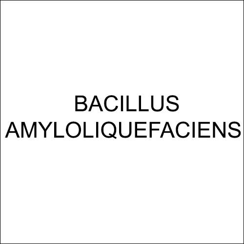 Bacillus Amyloliquefaciens