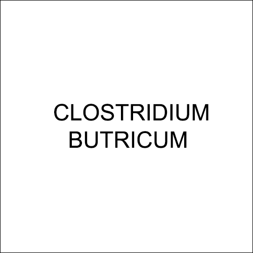 Customized Biological Formulations