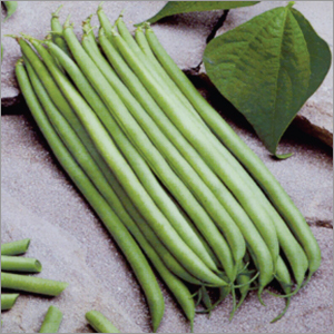 Beans Anupuma Vegetable Seeds