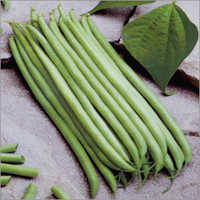 Beans Anupuma Vegetable Seeds