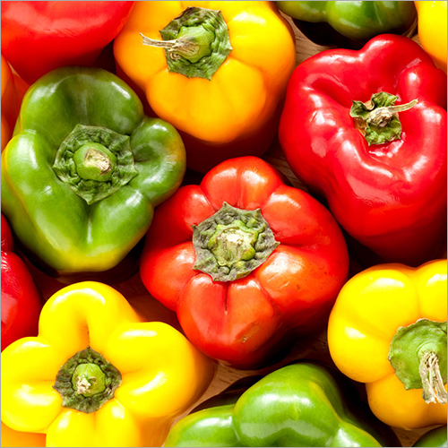 Capsicum