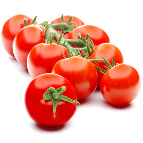 Preserved Tomato