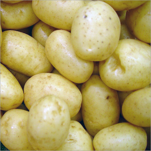 Potato