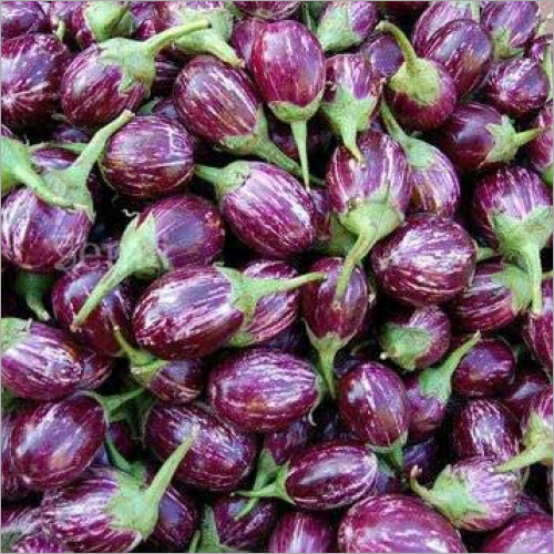 Eggplant