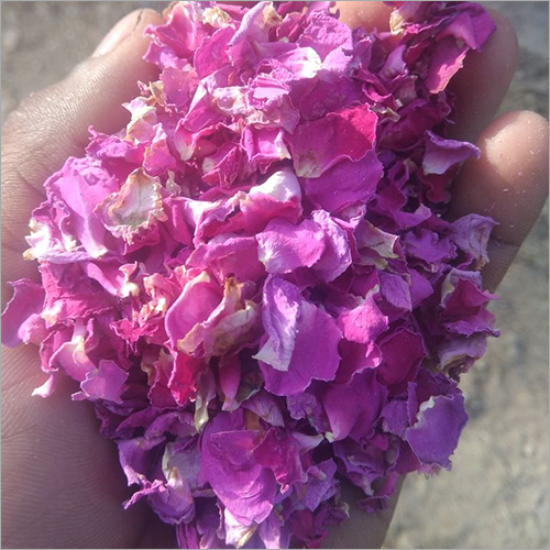Oraganic Pink Rose Petals