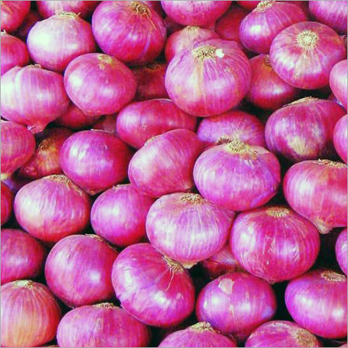 Red Onion