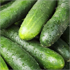 Cucumber