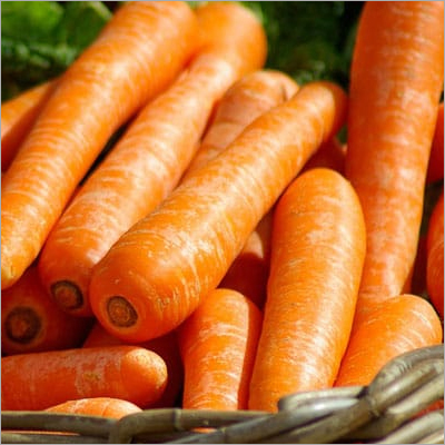 Carrot
