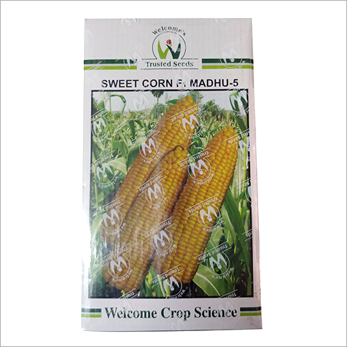 Sweet Corn Madhu By OM SAI AGRO ENTERPRISES