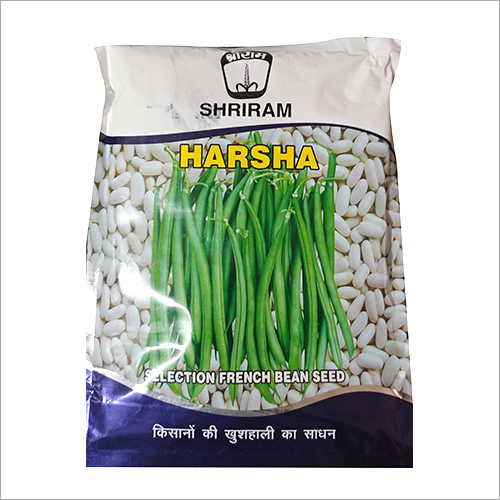 Selection French Bean Seed By OM SAI AGRO ENTERPRISES
