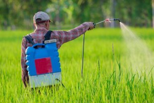 Insecticides Chemical Application: Agriculture