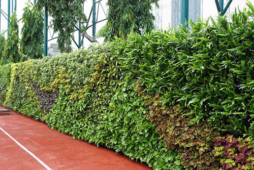 green walls