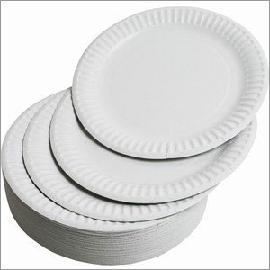White Paper Plate