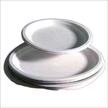 Paper Plates