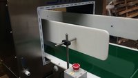 Metal Detector with Conveyor System