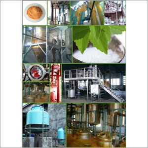 Herbal Extraction & Oleoresin Manufacturing Plant