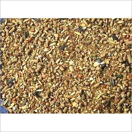 Dry Cattle Feed