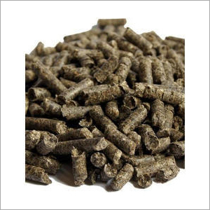 special diary cattle feed